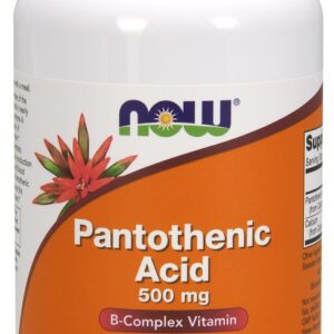 Pantothenic Acid, 500mg - 250 caps